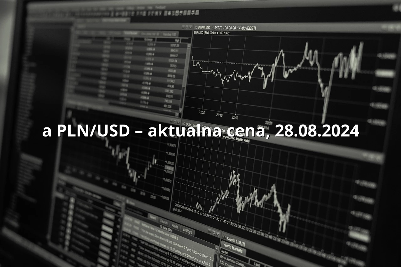 Kurs dolara PLN/USD – aktualna cena, 28.08.2024