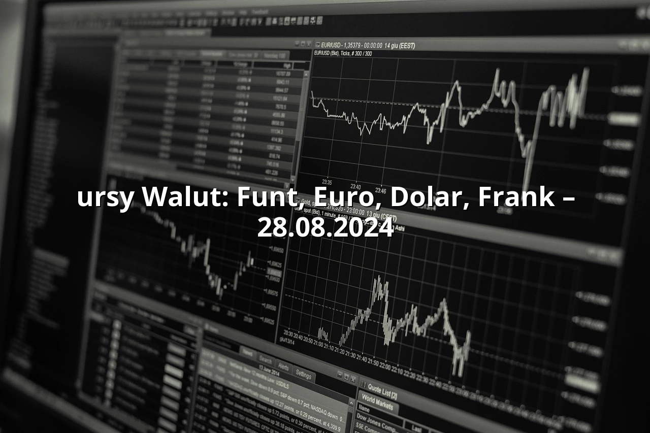 ursy Walut: Funt, Euro, Dolar, Frank – 28.08.2024